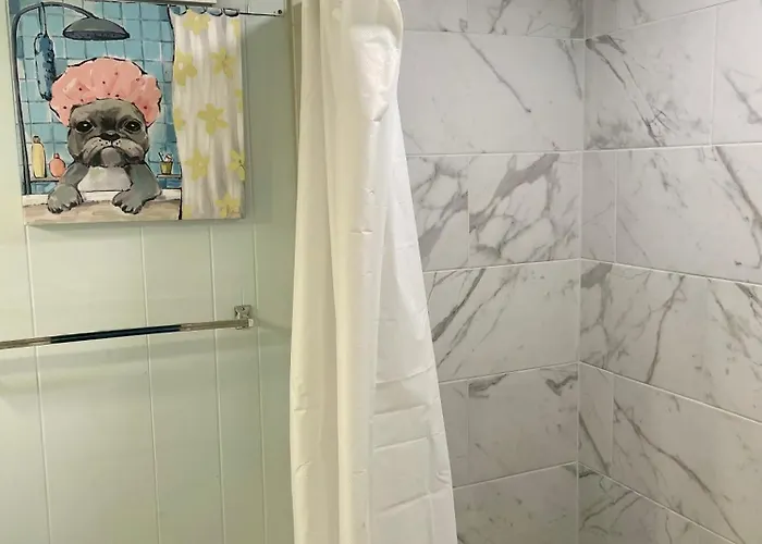 1br 1ba In Midtown Close To Famu, Fsu And Tmh * Tallahassee